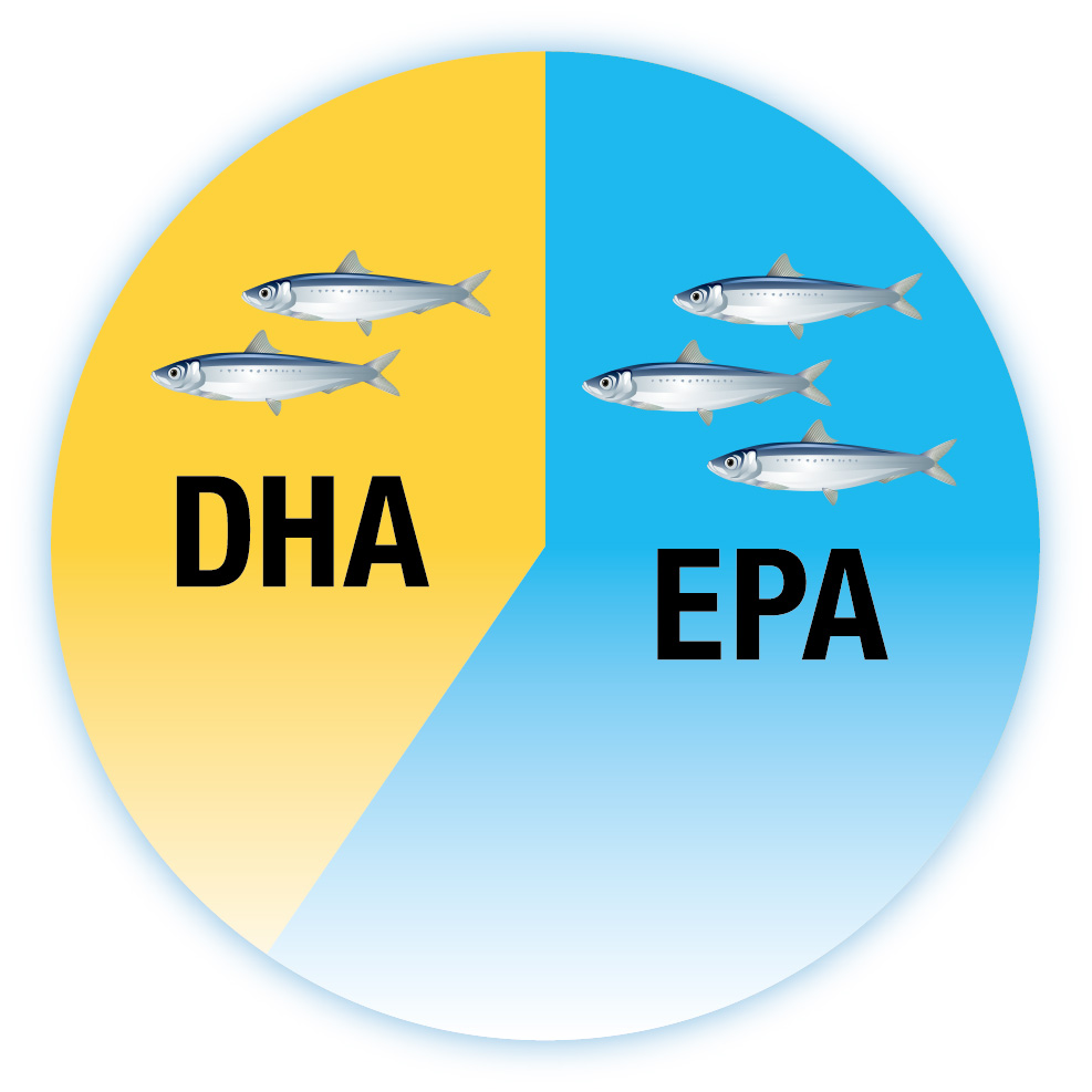 EPA：DHA ＝ 3：2