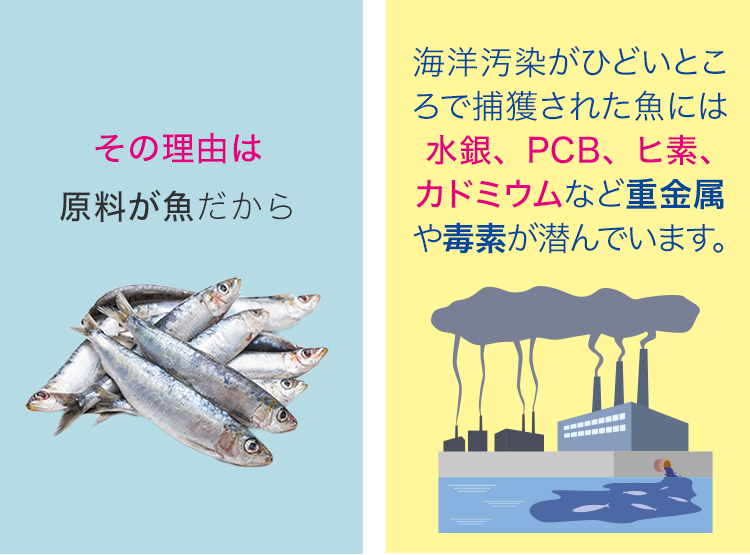 その理由は原料が魚だから。海洋汚染がひどいところで捕獲された魚には水銀、PCB、ヒ素、カドミウムなど重金属や毒素が潜んでいます。