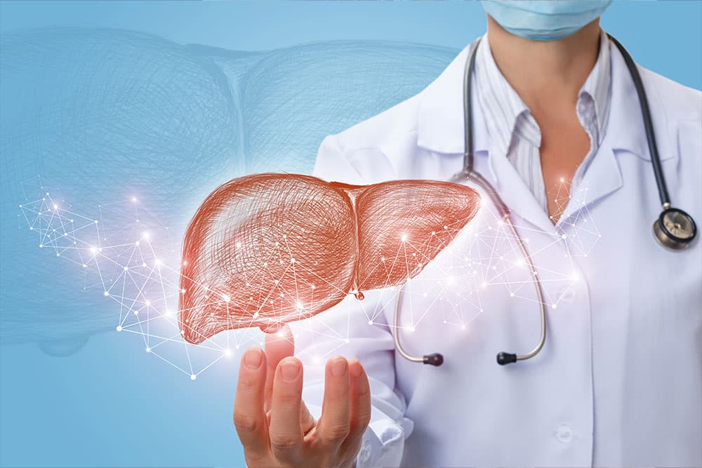 痩せる為に鍛えるべき２つの目の臓器は“肝臓”です