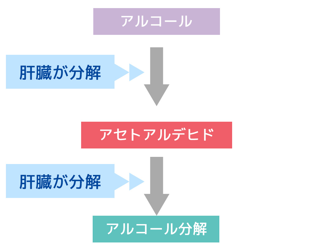 肝臓の数値を改善したい 肝臓に良い食べ物 悪い食べ物を解説