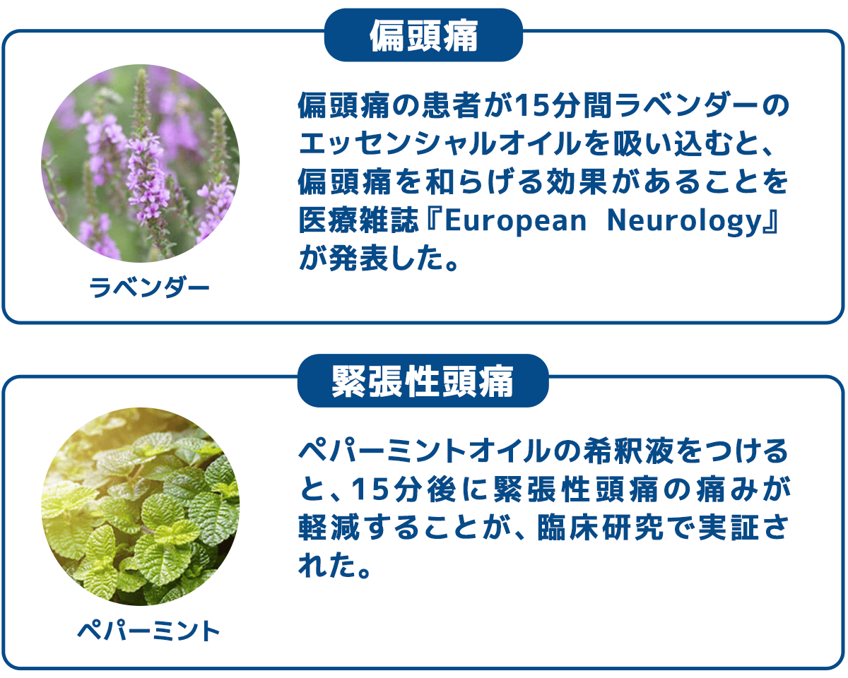 ラベンダー：偏頭痛の患者が15分間ラベンダーのエッセンシャルオイルを吸い込むと、偏頭痛を和らげる効果があることを医療雑誌『European Neurology』が発表した。ペパーミント：ペパーミントオイルの希釈液をつけると、15分後に緊張性頭痛の痛みが軽減することが、臨床研究で実証された。