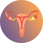 子宮内膜がんのリスク