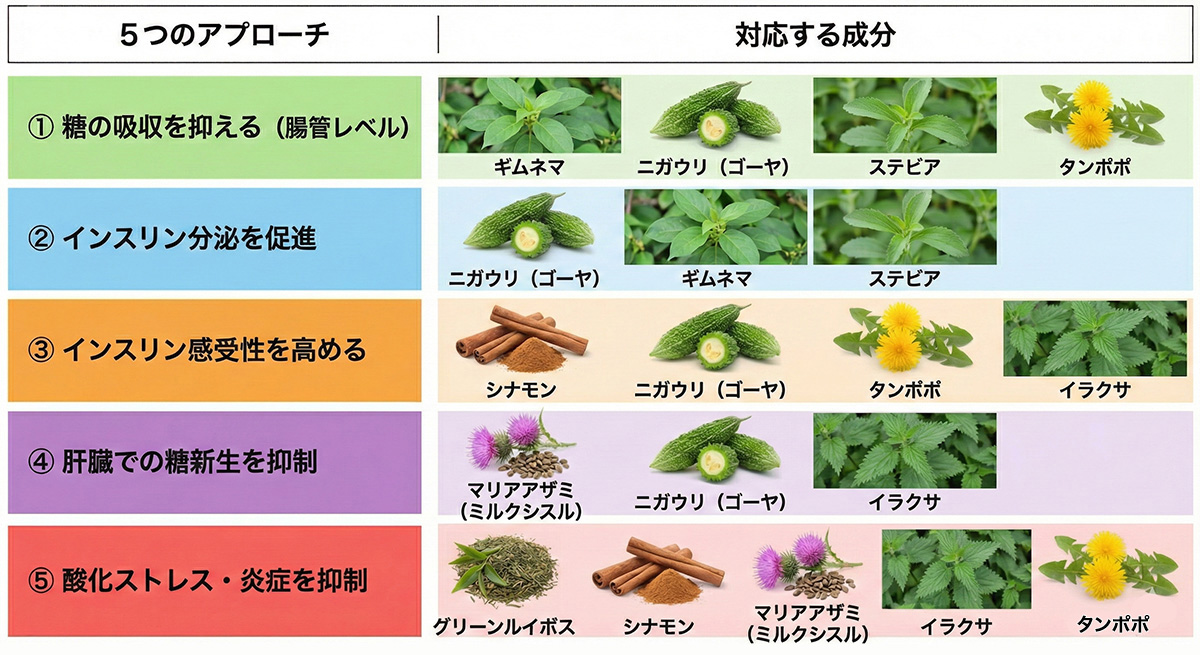 血糖値コントロールに必要な5つのアプローチとハーブ