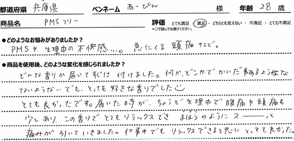 PMSレビュー3