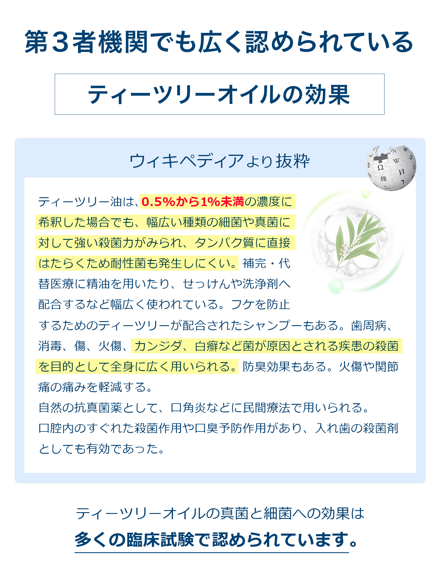 第３者機関でも広く認められている。ティーツリーオイルの効果について。ティーツリー油は、0.5%から1%未満の濃度に希釈した場合でも、幅広い種類の細菌や真菌に対して強い殺菌力がみられ、タンパク質に直接はたらくため耐性菌も発生しにくい。補完・代替医療に精油を用いたり、せっけんや洗浄剤へ配合するなど幅広く使われている。フケを防止するためのティーツリーが配合されたシャンプーもある。歯周病、消毒、傷、火傷、カンジダ、白癬など菌が原因とされる疾患の殺菌を目的として全身に広く用いられる。防臭効果もある。火傷や関節痛の痛みを軽減する。自然の抗真菌薬として、口角炎などに民間療法で用いられる。口腔内のすぐれた殺菌作用や口臭予防作用があり、入れ歯の殺菌剤としても有効であった。ティーツリーオイルの真菌と細菌への効果は多くの臨床試験で認められています。