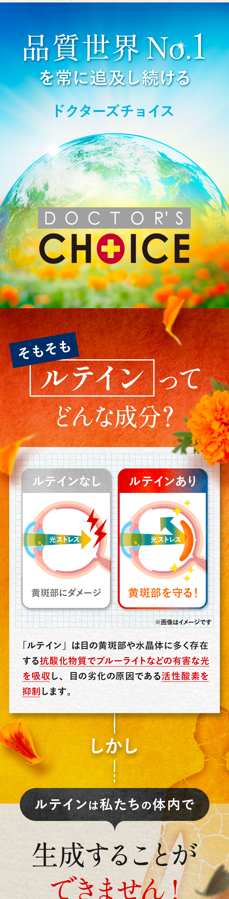 品質世界No.1を常に追及し続けるドクターズチョイス。ルテインってどんな成分？「ルテイン」は目の黄斑部や水晶体に多く存在する抗酸化物質でブルーライトなどの有害な光を吸収し、目の劣化の原因である活性酸素を抑制します。ルテインは私たちの体内で生成することができません!