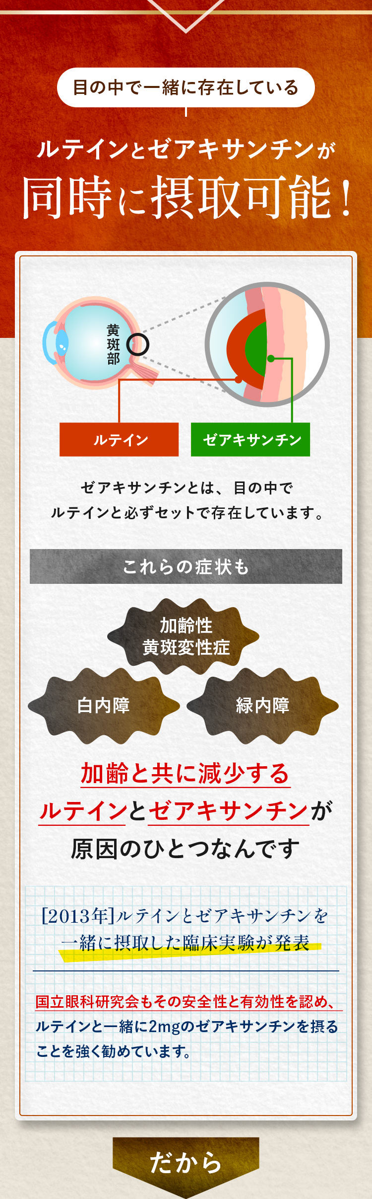 目の中で一緒に存在しているルテインとゼアキサンチンが同時に摂取可能!ゼアキサンチンとは、目の中でルテインと必ずセットで存在しています。加齢性黄斑変性症・白内障・緑内障は加齢と共に減少するルテインとゼアキサンチンが原因のひとつなんです。[2013年]ルテインとゼアキサンチンを一緒に摂取した臨床実験が発表。国立眼科研究会もその安全性と有効性を認め、ルテインと一緒に2mgのゼアキサンチンを摂ることを強く勧めています。