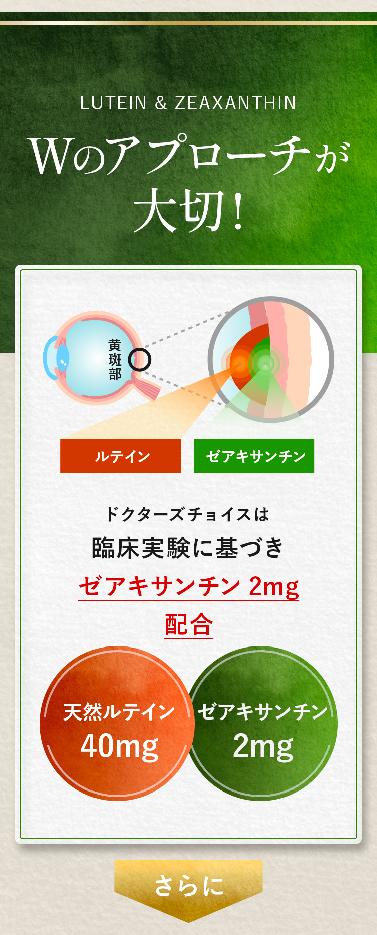 LUTEIN＆ZEAXANTHIN　Wのアプローチが大切!ドクターズチョイスは臨床実験に基づきゼアキサンチン2mg配合