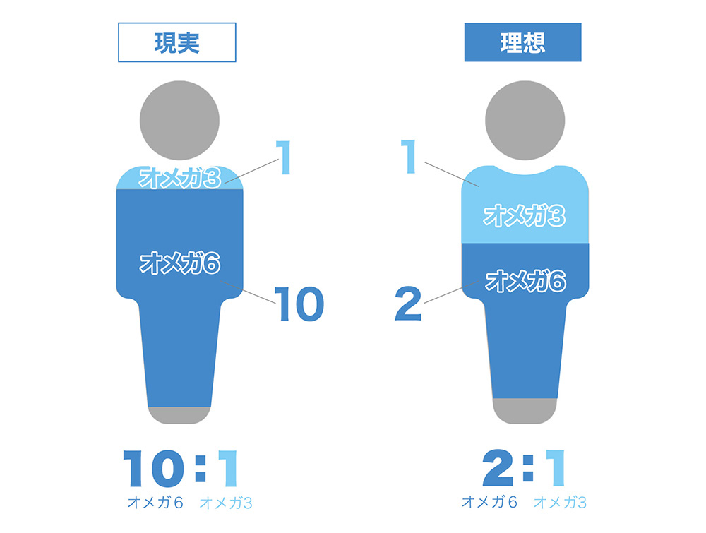 摂取比率はなんと！10：1