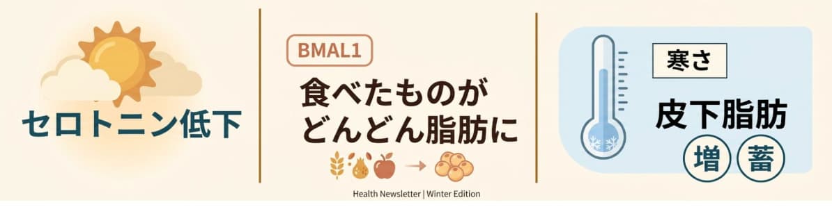 体の中では、大きな変化が起きています