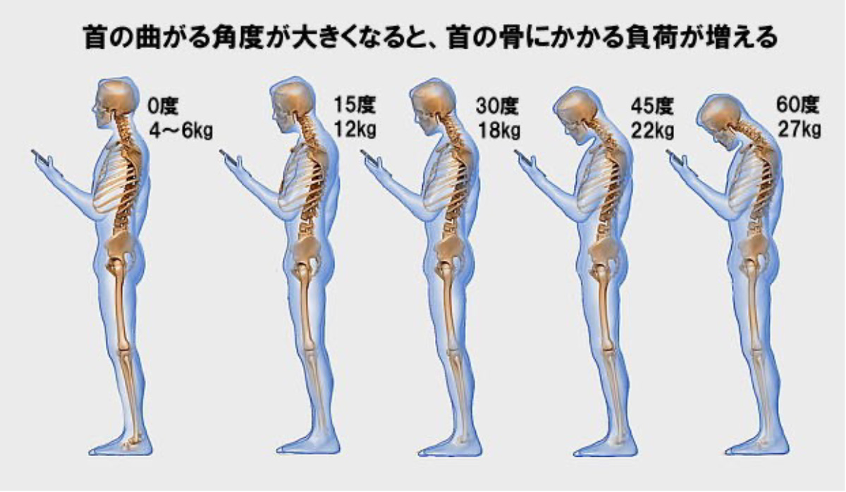 首の曲がる角度