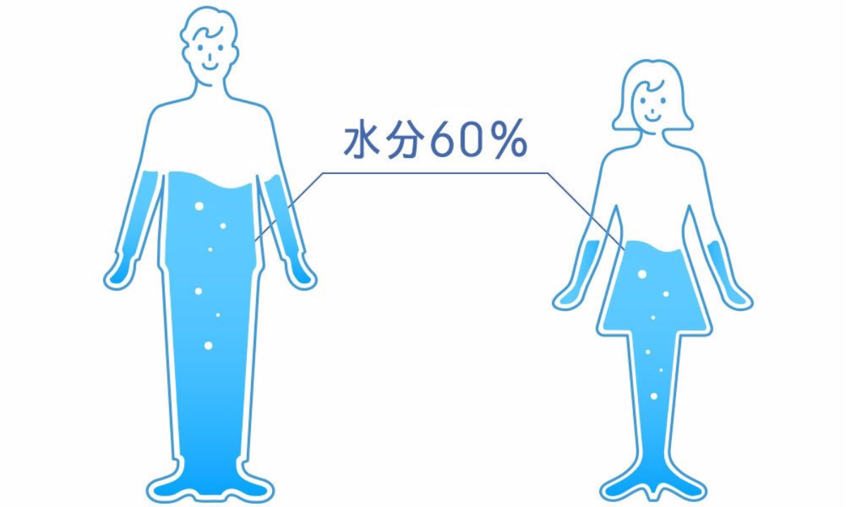 人間の体の約60%は水分