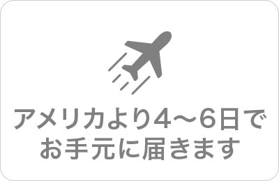 アメリカで4〜6日で届きます