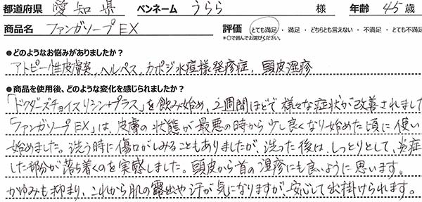 商品レビュー