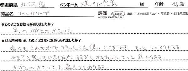 商品レビュー