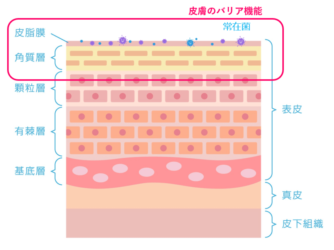表