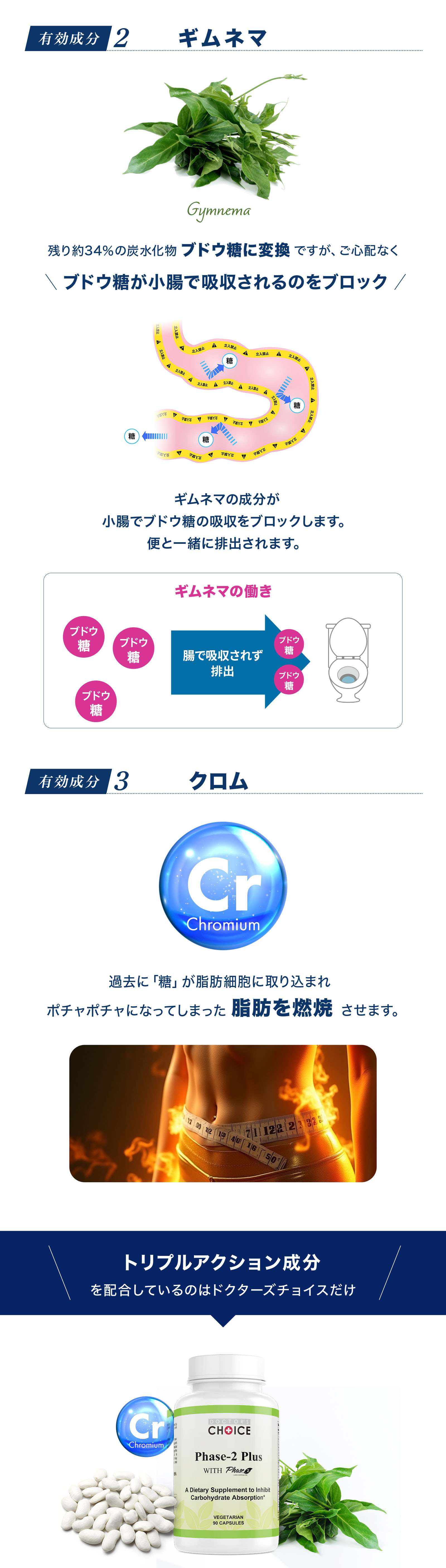ギムネマとクロム：フェーズ2プラスの有効成分がブドウ糖吸収をブロックし脂肪燃焼をサポートするトリプルアクション処方