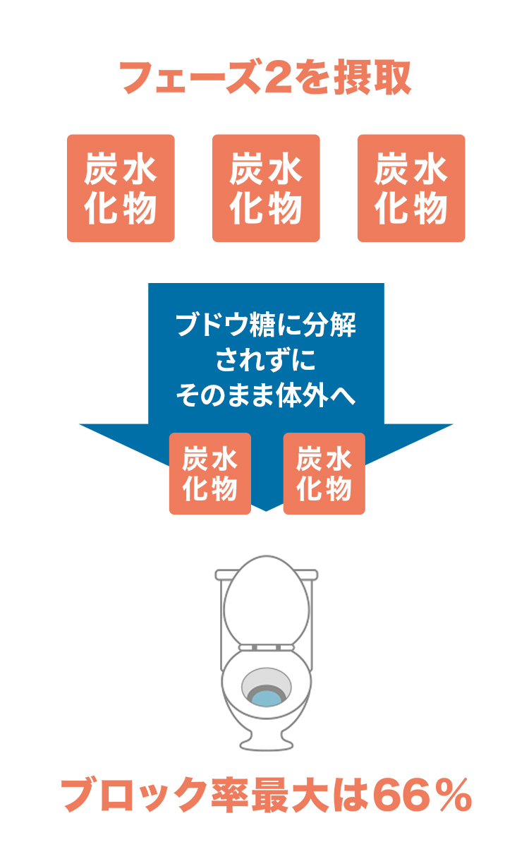 レビュー2（42歳）の解説：炭水化物食べ過ぎと予防目的で使用。30日で1.5kg減。3つの成分が効果的に働き体重増加にストップ、減少傾向へ。