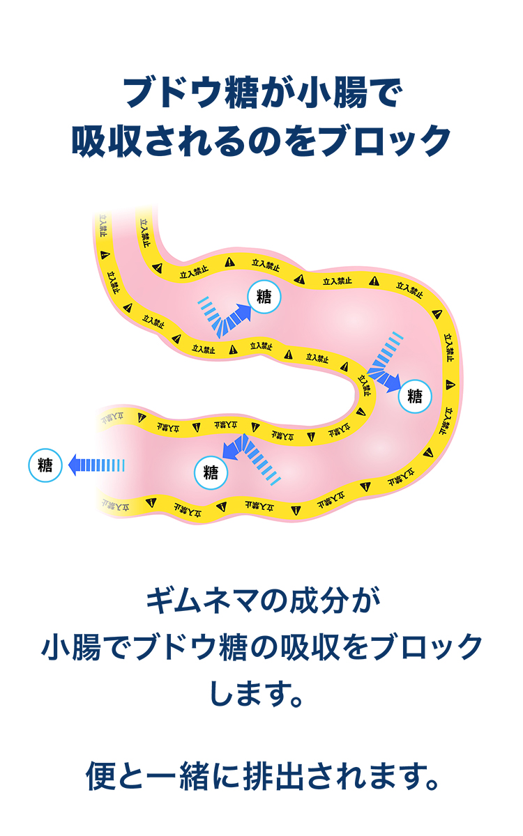 レビュー6（38歳）の解説：炭水化物中心の食事でメタボ体型。フェーズ2プラスでスーツに余裕。炭水化物摂取が多い中での体重増加にストップがかかり減少傾向へ。