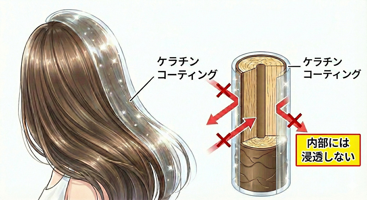 ケラチンが髪の表面をコーティングしているだけ