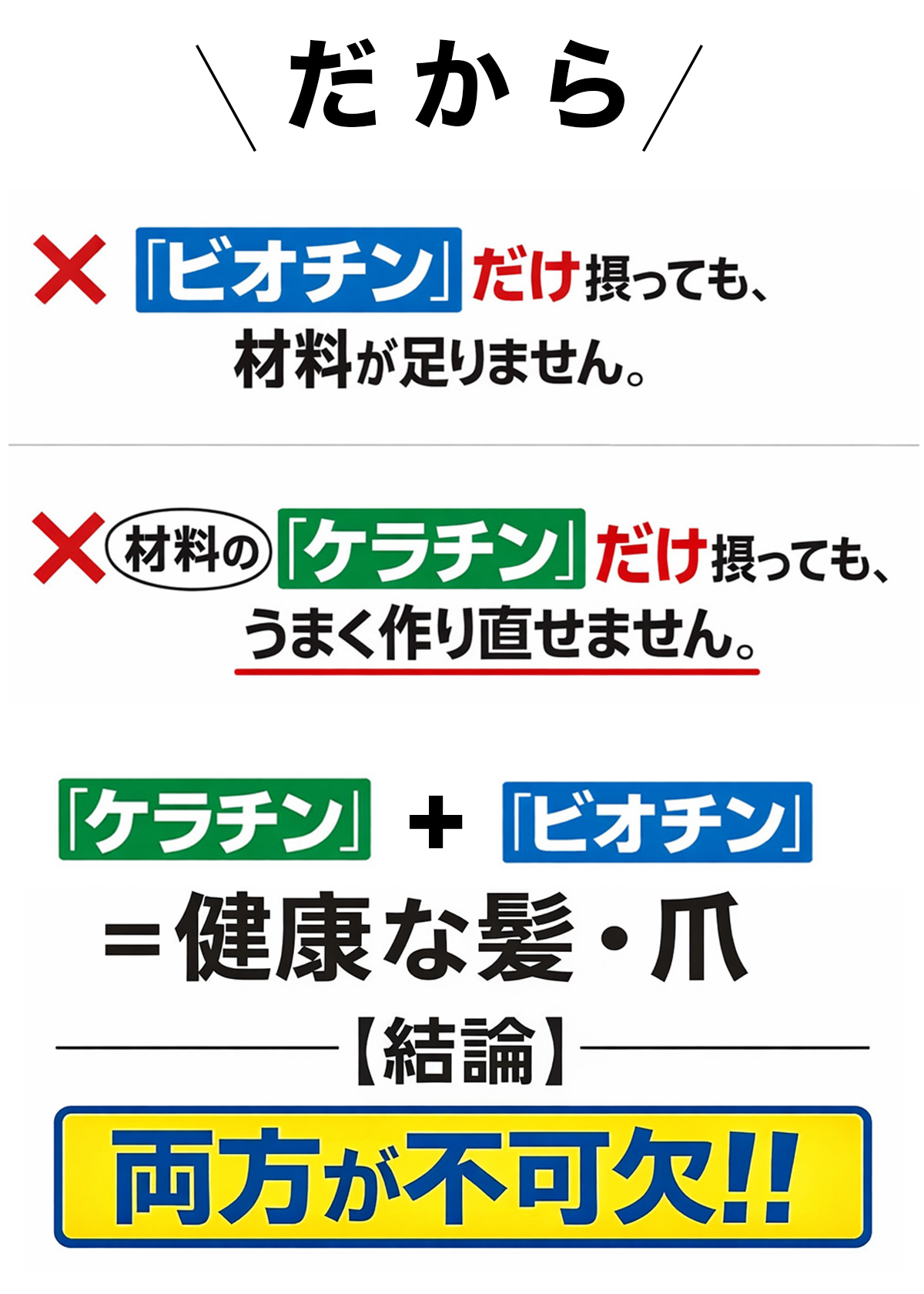 ケラチン＝材料、ビオチン＝作り直す力 