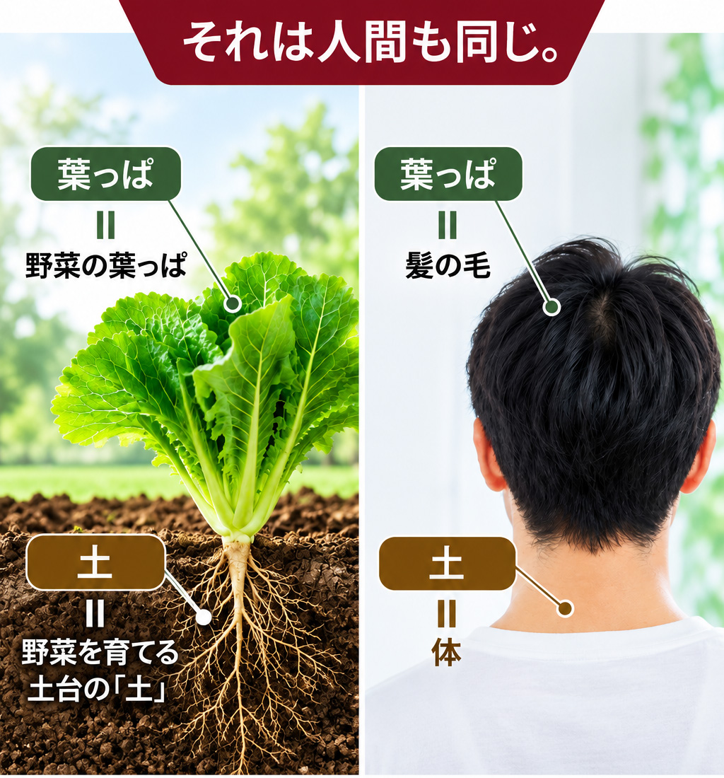 野菜を育てるとき、葉っぱに肥料を振りかけるでしょうか?そうではなく、野菜を育てる土台の「土」を柔らかく耕して、そこに肥料を与えますよね