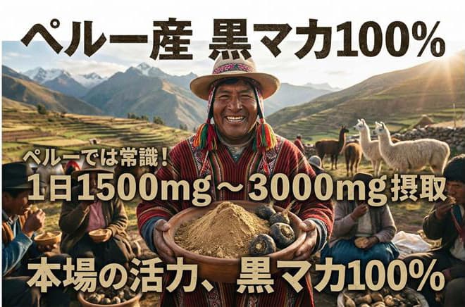 ペルー産マカ100%