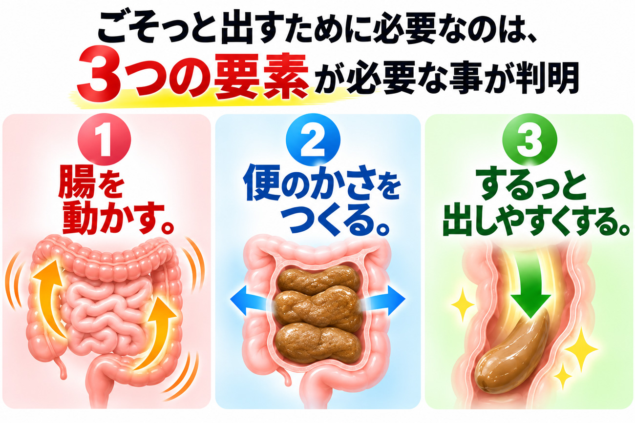 ごそっと出すために必要な3つの要素「腸を動かす・便のかさをつくる・するっと出しやすくする」