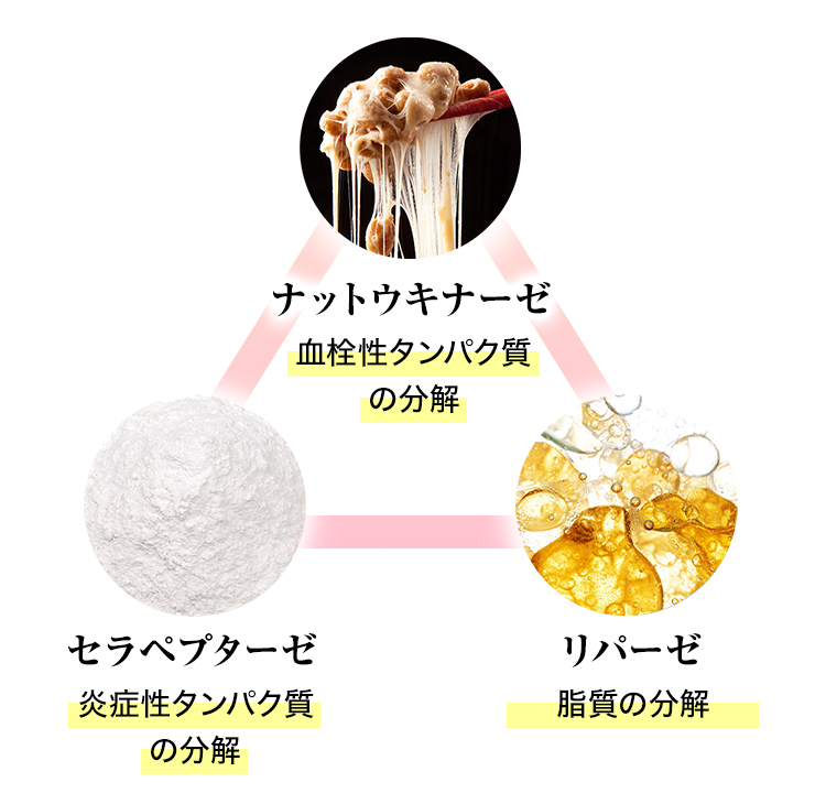 セラペプターゼ・リパーゼ・納豆キナーゼ