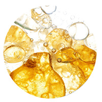 2.リパーゼ酵素