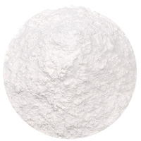 セラペプターゼ酵素