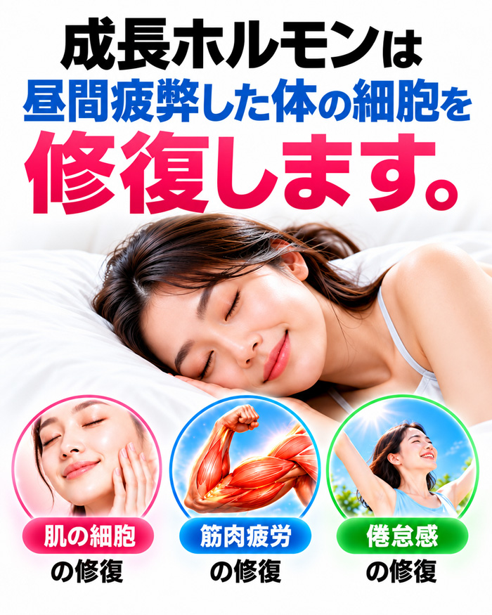 成長ホルモンが昼間疲弊した体の細胞を修復し、肌の細胞・筋肉疲労・倦怠感の修復を表したイメージ