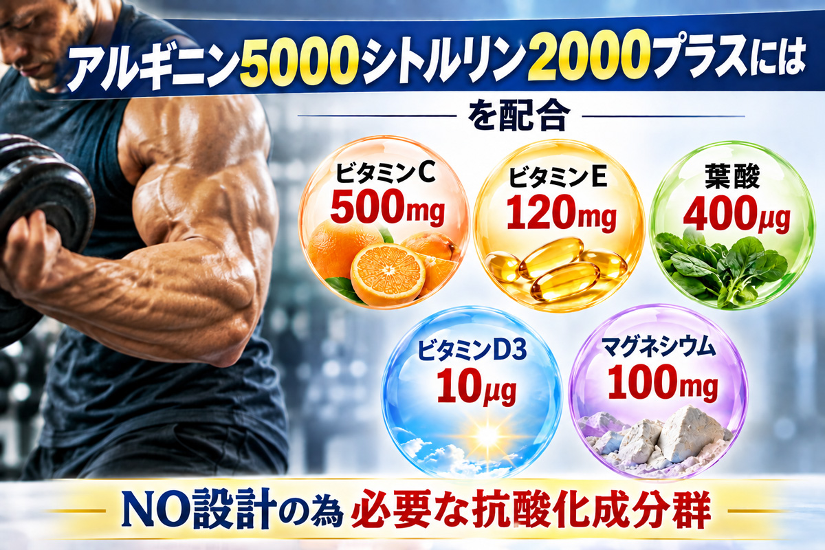 ビタミンや葉酸など抗酸化成分の配合一覧