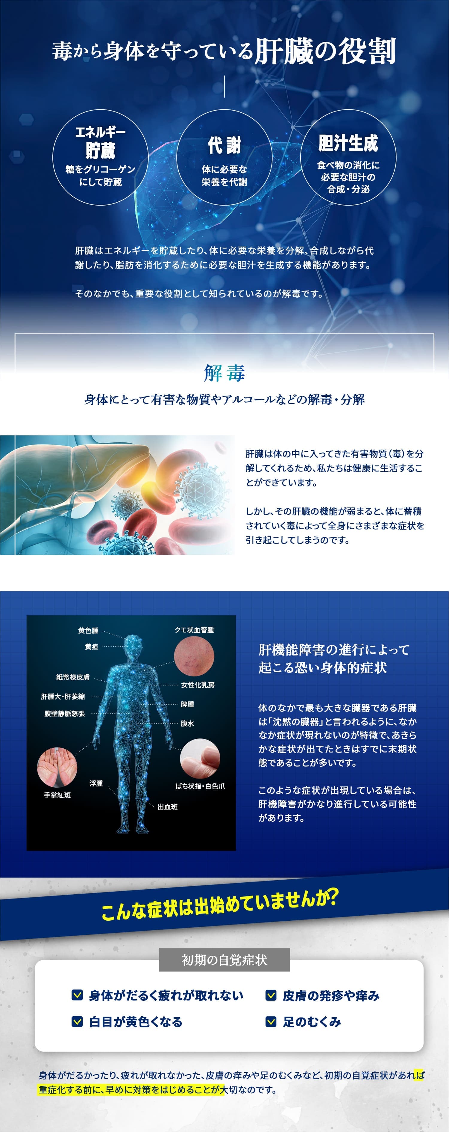 肝臓はエネルギーを貯蔵したり、体に必要な栄養を分解、合成しながら代謝したり、脂肪を消化するために必要な胆汁を生成する機能があります。そのなかでも、重要な役割として知られているのが解毒です。解毒：身体にとって有害な物質やアルコールなどの解毒・分解。肝臓は体の中に入ってきた有害物質（毒）を分解してくれるため、私たちは健康に生活することができています。しかし、その肝臓の機能が弱まると、体に蓄積されていく毒によって全身にさまざまな症状を引き起こしてしまうのです。肝機能障害の進行によって起こる恐い身体的症状：体のなかで最も大きな臓器である肝臓は「沈黙の臓器」と言われるように、なかなか症状が現れないのが特徴で、あきらかな症状が出てたときはすでに末期状態であることが多いです。このような症状が出現している場合は、肝機障害がかなり進行している可能性があります。こんな症状は出始めていませんか？身体がだるく疲れが取れない・皮膚の発疹や痒み・白目が黄色くなる・足のむくみ。身体がだるかったり、疲れが取れなかった、皮膚の痒みや足のむくみなど、初期の自覚症状があれば重症化する前に、早めに対策をはじめることが大切なのです。