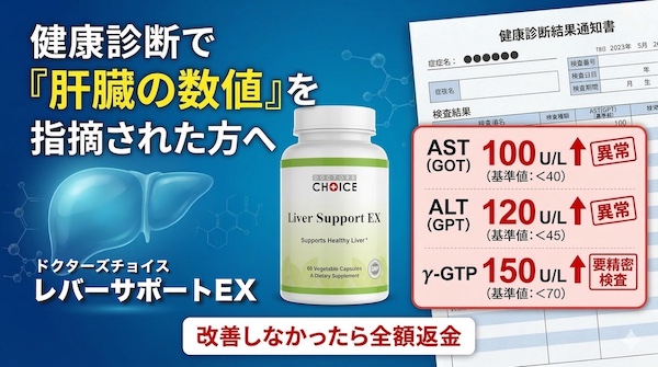 ドクターズチョイス レバーサポートEX