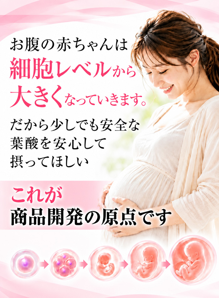 お腹の赤ちゃんが細胞レベルから成長していく様子と妊婦を描き、安全な葉酸を安心して摂ってほしいという商品開発の原点を伝えるイメージ