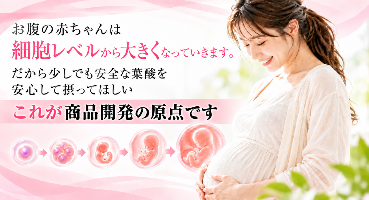 お腹の赤ちゃんが細胞レベルから成長していく様子と妊婦を描き、安全な葉酸を安心して摂ってほしいという商品開発の原点を伝えるイメージ