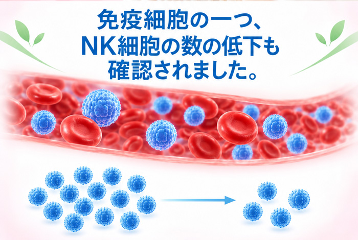 免疫細胞の一つであるNK細胞の数の低下を示したイメージ図
