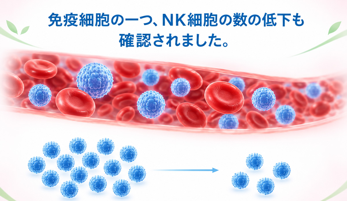免疫細胞の一つであるNK細胞の数の低下を示したイメージ図