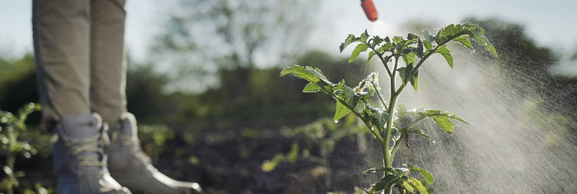 農薬使用量ワースト３