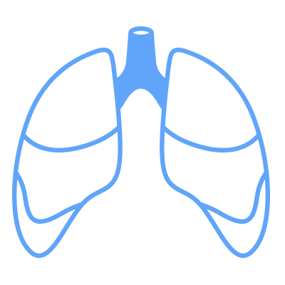 慢性気管支炎や喘息、肺線維症などの呼吸器系の症状の緩和