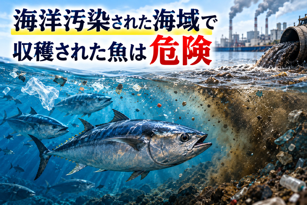 海洋汚染された海域で収穫された魚の危険性を示すイメージ