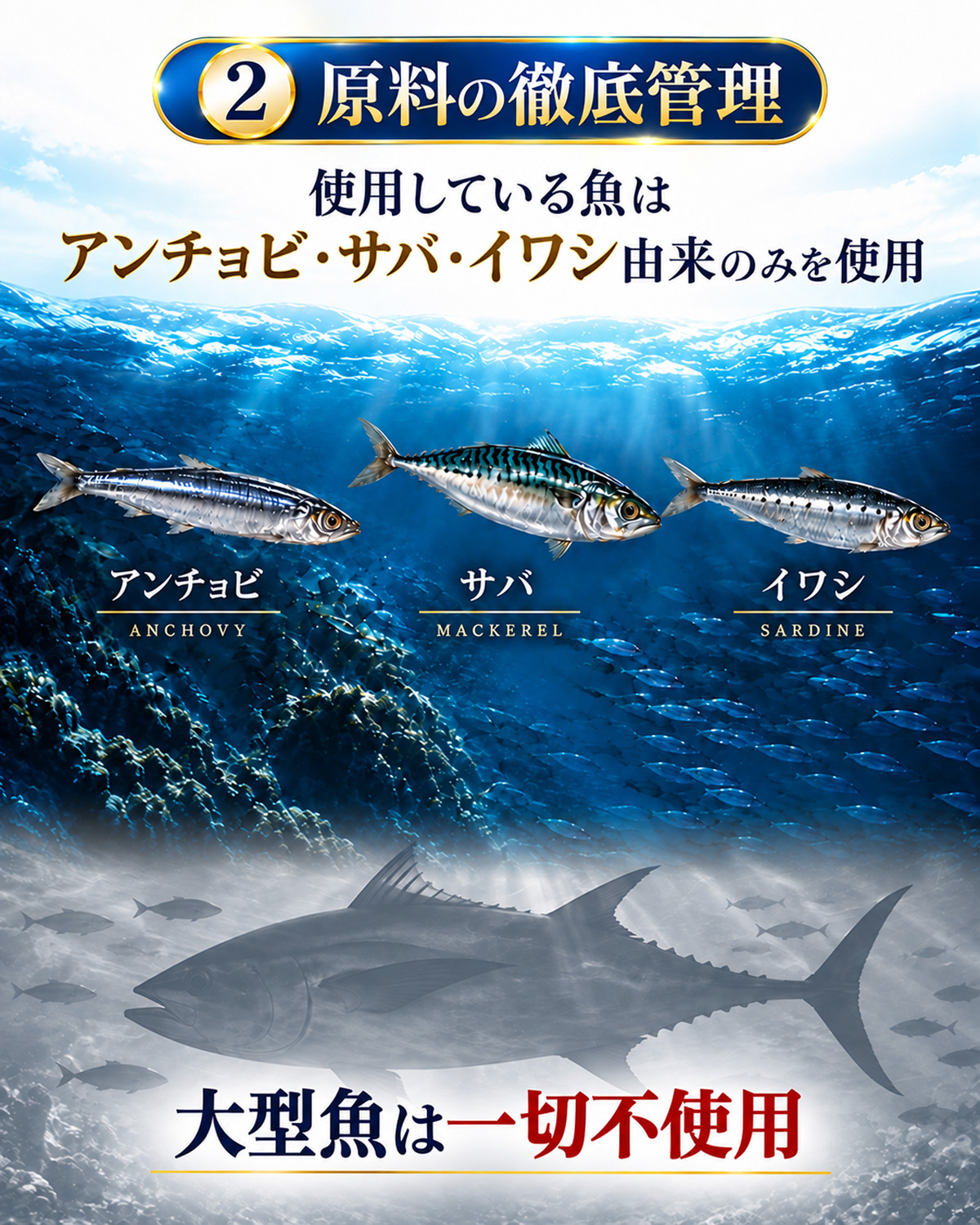 アンチョビ・サバ・イワシ由来の原料のみを使用し、大型魚は使用していないことを示すオメガ3原料管理の説明画像