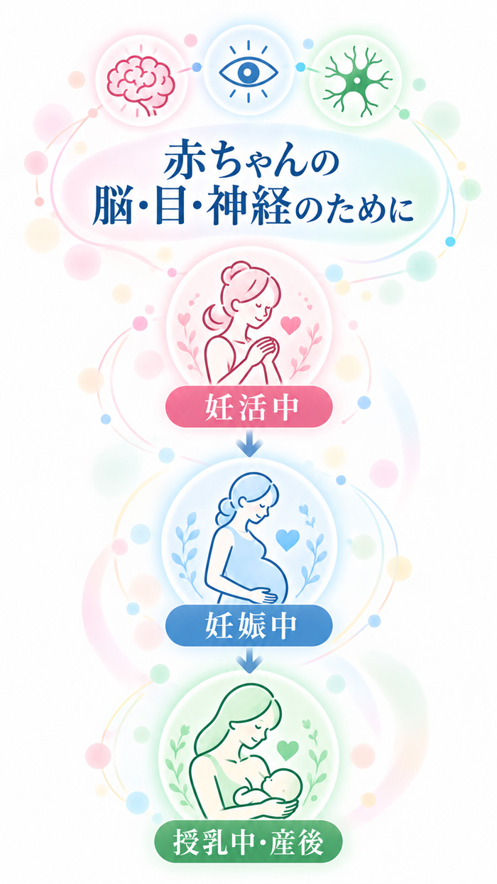 妊活中から始め、妊娠中・授乳中まで続ける