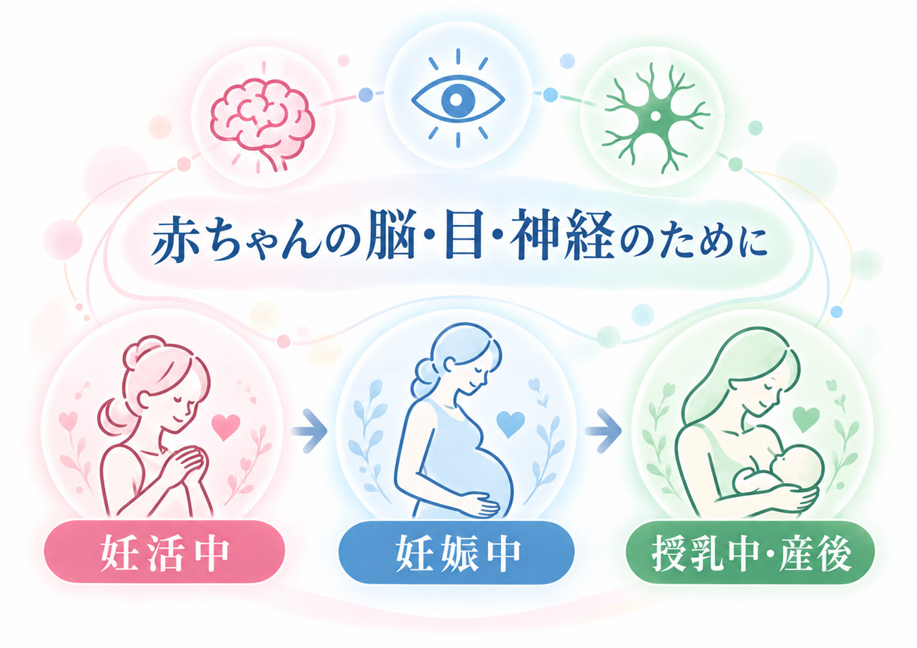 妊活中から始め、妊娠中・授乳中まで続ける