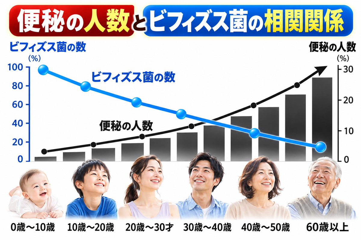 年代別に見るビフィズス菌の減少と便秘の人数増加の相関関係を示したグラフ
