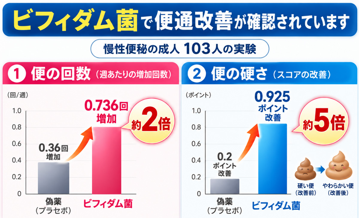慢性便秘の成人103人を対象に、ビフィダム菌による便の回数増加と便の硬さ改善を示した実験グラフ