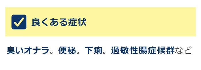 良くある症状:臭いオナラ。便秘。下痢。過敏性腸症候群など