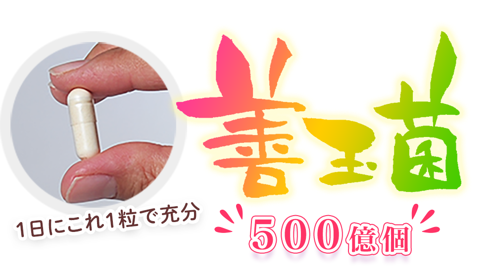 善玉菌500億個