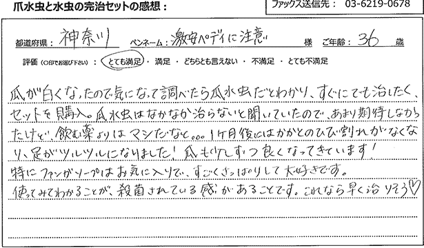 商品レビュー
